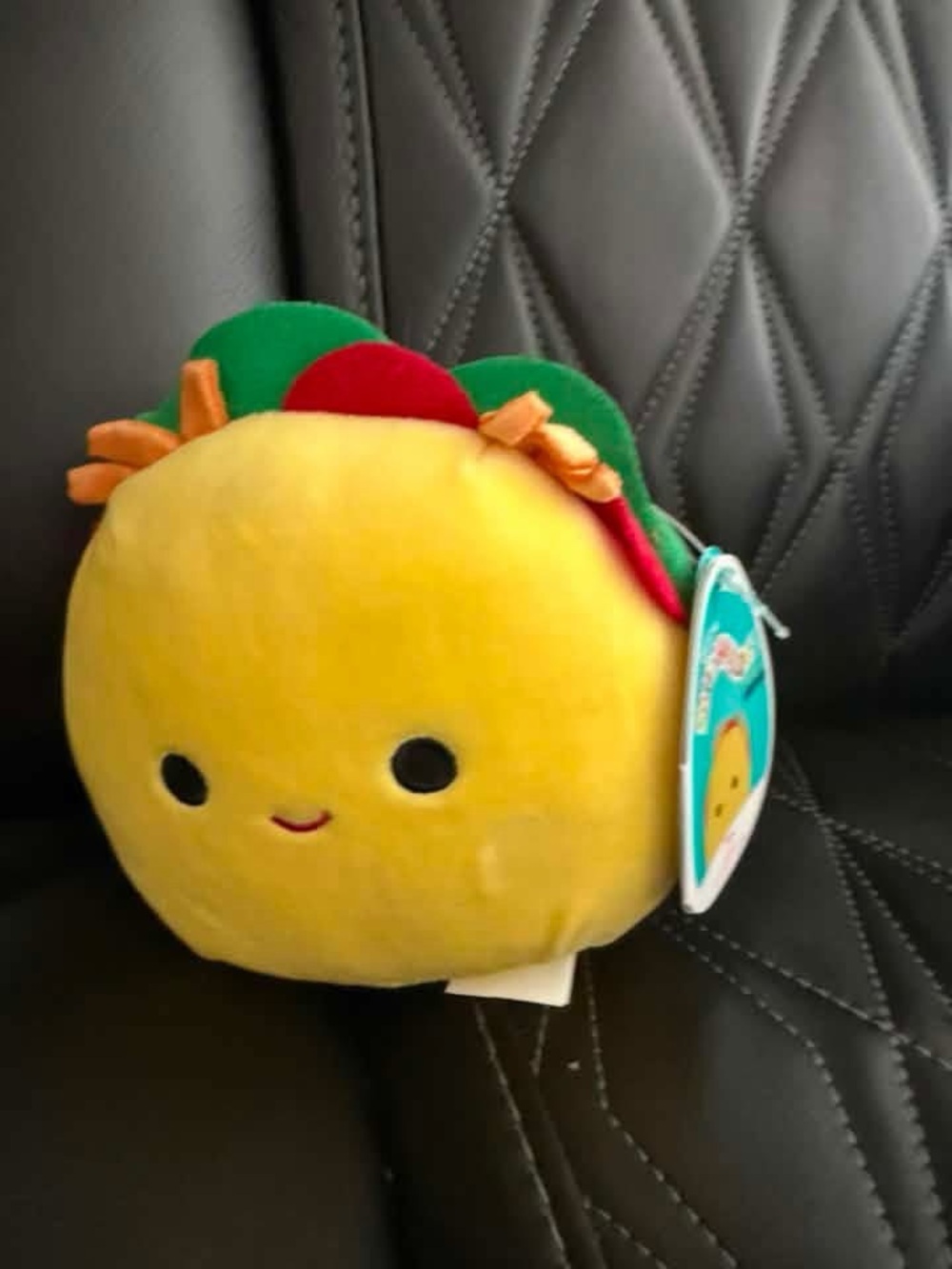 Small Taco New Squishmallow